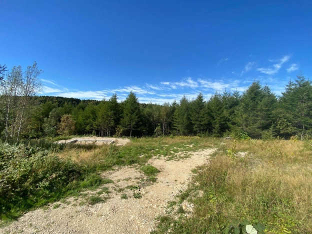 Купить земельный участок в Южно-Сахалинске. Вариант № 13529, 4, площадь -  квм, цена 2000000 рублей