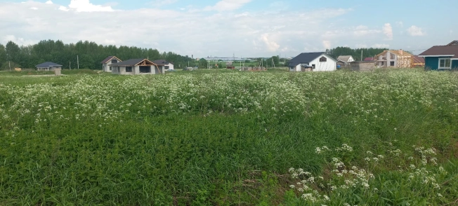 Купить земельный участок в Вологодской области. Вариант № 210069, 8, площадь -  квм, цена 2400000 рублей