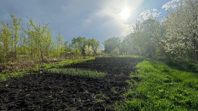 Купить земельный участок в Пензе. Вариант № 28486, 1, площадь -  квм, цена 1100000 рублей