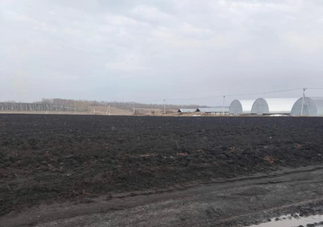 Купить земельный участок в Пензе. Вариант № 34657, 8, площадь -  квм, цена 102900000 рублей