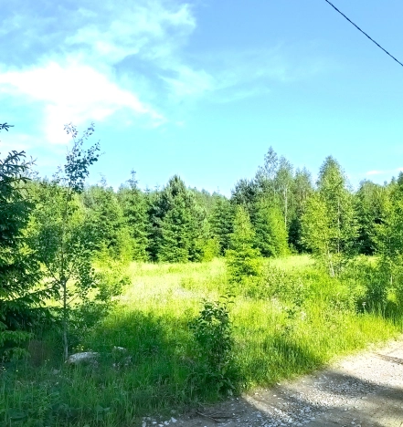 Купить земельный участок в Обнинске. Вариант № 8675, 6, площадь -  квм, цена 1100000 рублей