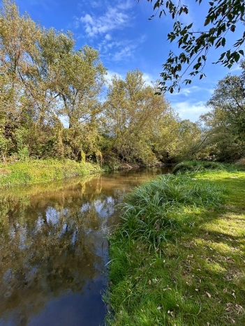 Купить земельный участок в Воронеже. Вариант № 13863, 9, площадь -  квм, цена 5500000 рублей