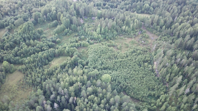 Купить земельный участок в Республике Карелия. Вариант № 5242343, 2, площадь -  квм, цена 800000 рублей