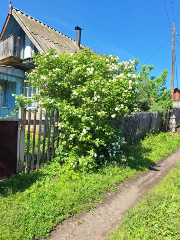 Купить дачу в Алтайском крае. Вариант № 36526, 0, площадь -  квм, цена 220000 рублей