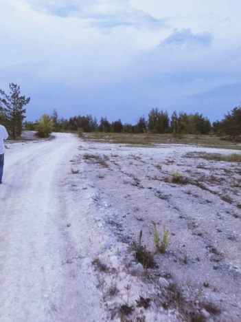 Купить земельный участок в Воронеже. Вариант № 51983, 4, площадь -  квм, цена 350000 рублей