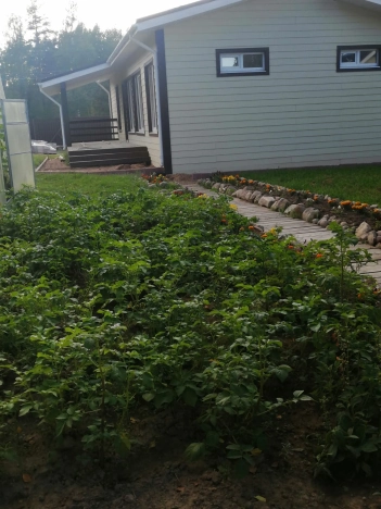 Купить дом в Санкт-Петербурге. Вариант № 15047, 8, площадь -  квм, цена 18000000 рублей