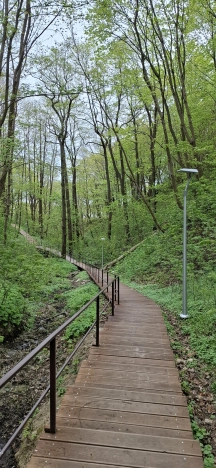 Купить однокомнатную квартиру в Светлогорске. Вариант № 25733, 28, площадь -  квм, цена 5990000 рублей