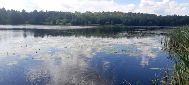 Купить дом на улице 3-я Шимановская в Ивановской области. Вариант № 346297, 4, площадь -  квм, цена 7000000 рублей