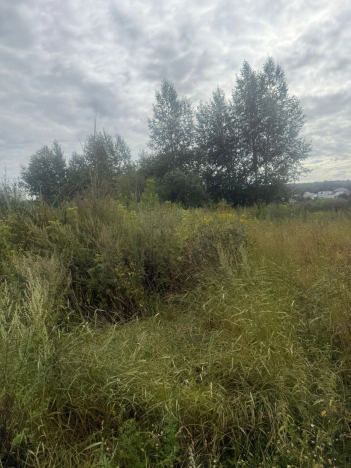 Купить земельный участок в Новосибирске. Вариант № 1272614, 1, площадь -  квм, цена 2500000 рублей