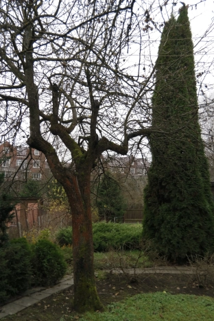 Купить дом в Москве. Вариант № 9098112, 7, площадь - квм, цена 14990000 рублей