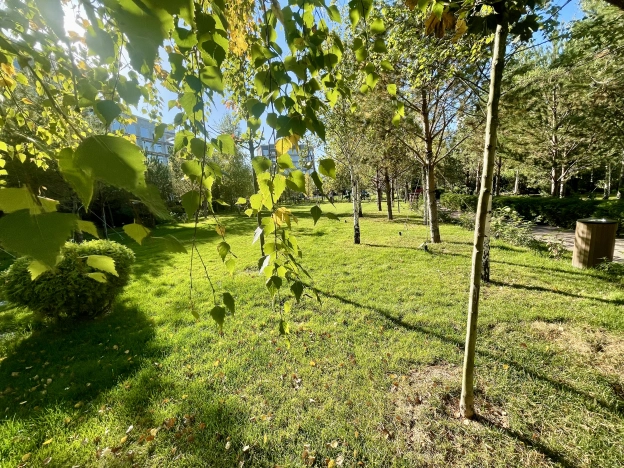 Купить квартиру у метро Аэропорт Внуково в Москве. Вариант № 15374, 10, площадь -  квм, цена 60340000 рублей