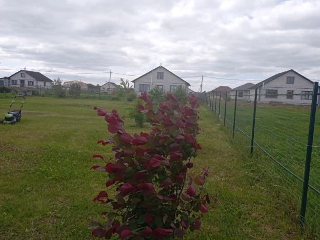 . Вариант № 1299679, 27, площадь -  квм, цена 1150000 рублей