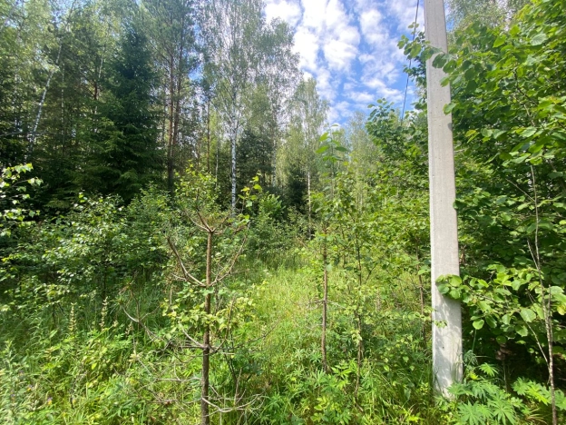 Купить земельный участок в Калуге. Вариант № 371490, 1, площадь -  квм, цена 200000 рублей