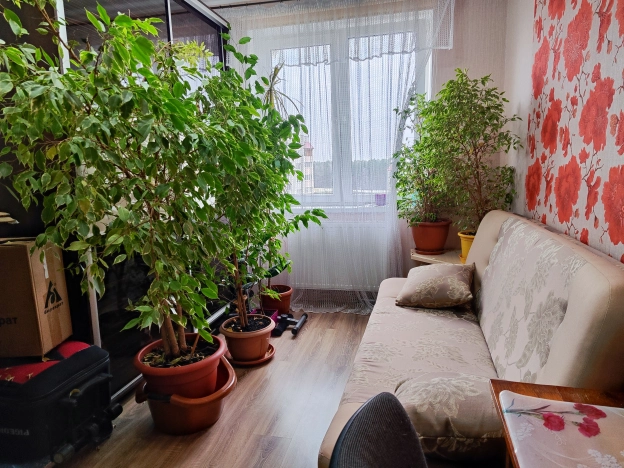 Купить квартиру на улице Алданская в Калининграде. Вариант № 24687, 7, площадь -  квм, цена 6500000 рублей