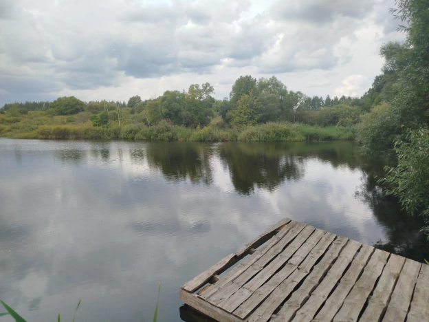 Купить земельный участок в Пензе. Вариант № 12129, 1, площадь -  квм, цена 1250000 рублей