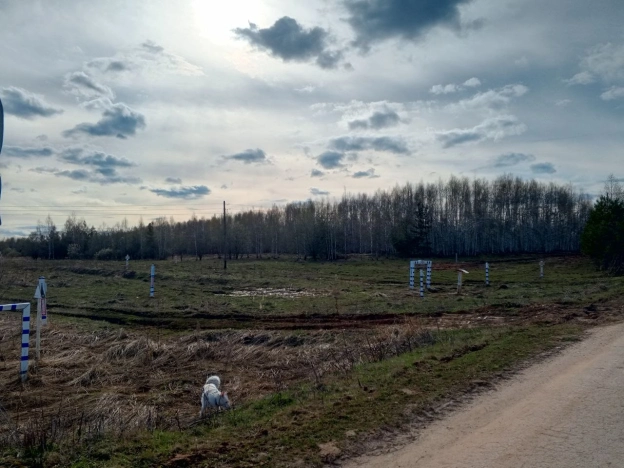 Купить земельный участок в Нижнем Новгороде. Вариант № 7736985, 10, площадь -  квм, цена 750000 рублей