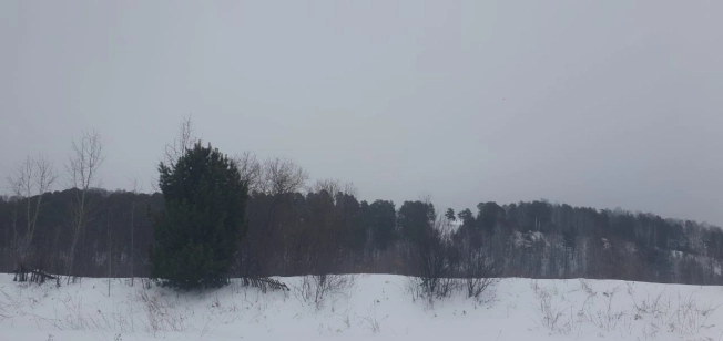 Купить земельный участок в Тобольске. Вариант № 36536, 3, площадь -  квм, цена 700000 рублей