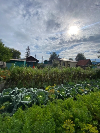 Купить дом на улице Садовая в Алтайском крае. Вариант № 2097163, 25, площадь -  квм, цена 3000000 рублей