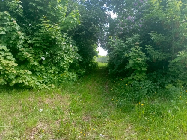 Купить земельный участок в Рязани. Вариант № 45276, 6, площадь -  квм, цена 875000 рублей