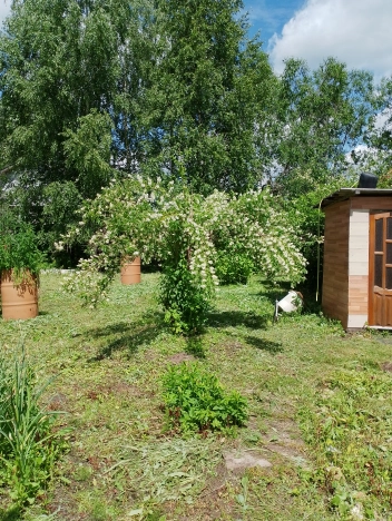 Купить дачу в Московской области. Вариант № 10607691, 15, площадь -  квм, цена 1800000 рублей