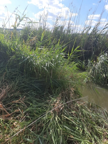 Купить земельный участок на улице Дачная в Белгородской области. Вариант № 2064744, 12, площадь -  квм, цена 750000 рублей