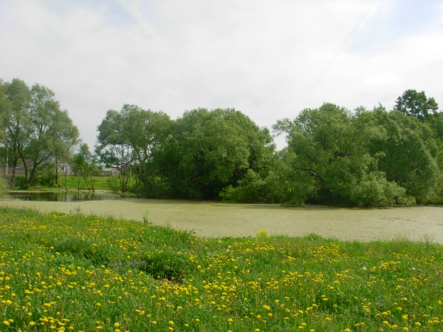 Купить земельный участок в Коврове. Вариант № 3012, 3, площадь -  квм, цена 310000 рублей