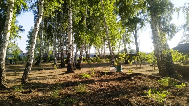 Купить земельный участок в Микрорайоне Московка-2 в Омске. Вариант № 2877, 1, площадь -  квм, цена 1200000 рублей