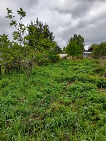 Купить земельный участок в Новосибирске. Вариант № 48159, 9, площадь -  квм, цена 520000 рублей