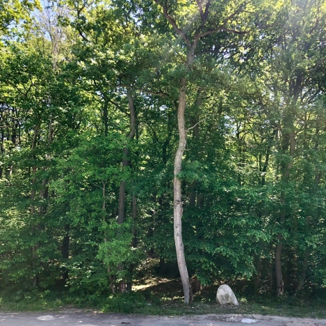 Купить таунхаус в Калининграде. Вариант № 4347, 36, площадь -  квм, цена 22400000 рублей