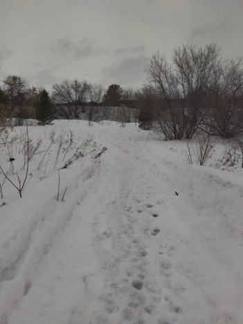 Купить земельный участок в Искитиме. Вариант № 24011, 2, площадь -  квм, цена 2000000 рублей