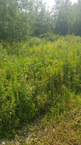 Купить земельный участок в Владимире. Вариант № 1429, 5, площадь -  квм, цена 270000 рублей