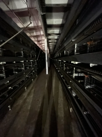 Купить земельный участок в Искитиме. Вариант № 37354, 33, площадь -  квм, цена 330000000 рублей