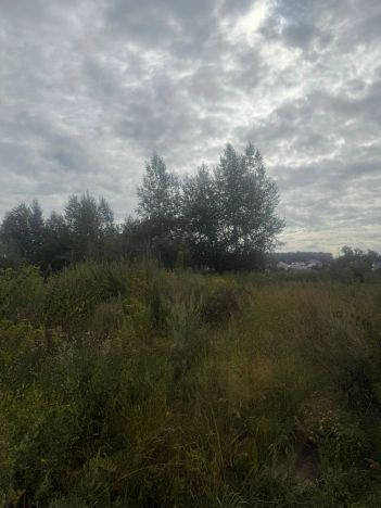 Купить земельный участок в Новосибирске. Вариант № 1272614, 3, площадь -  квм, цена 2500000 рублей