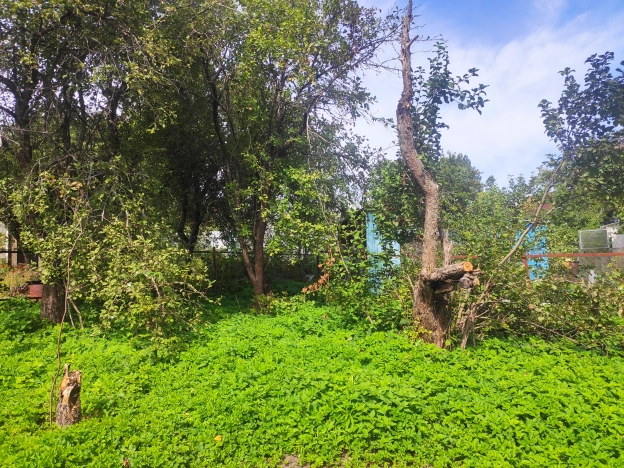 Купить дачу в Владимирской области. Вариант № 12244, 4, площадь -  квм, цена 400000 рублей