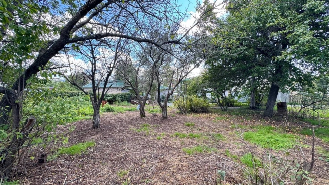 Купить земельный участок в Южно-Сахалинске. Вариант № 5435833, 2, площадь -  квм, цена 3800000 рублей