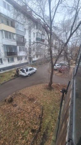 Купить квартиру в Алтайском крае. Вариант № 10022577, 19, площадь -  квм, цена 3900000 рублей