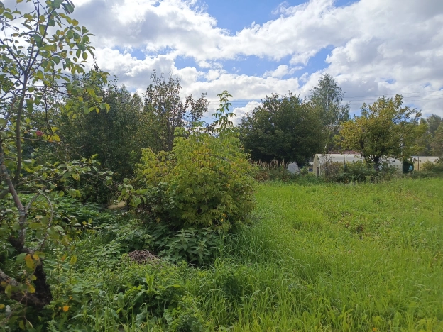 Купить земельный участок в Егорьевске. Вариант № 3763384, 12, площадь -  квм, цена 850000 рублей