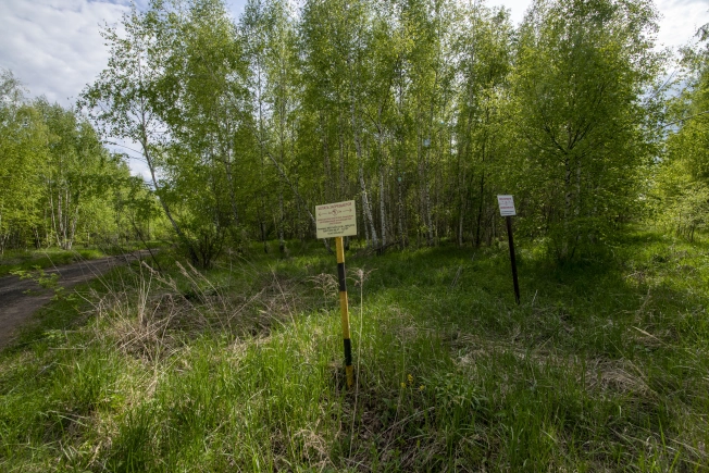 Купить земельный участок на улице Овражная в Нижегородской области. Вариант № 43313, 16, площадь -  квм, цена 700000 рублей