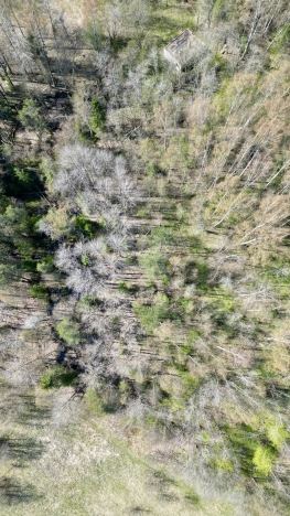 Купить земельный участок в Санкт-Петербурге. Вариант № 2132081, 11, площадь -  квм, цена 1200000 рублей