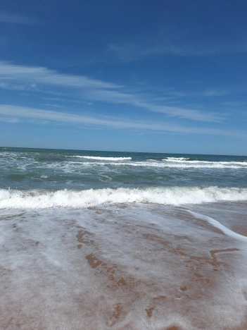 Купить дом на улице Васильковая в Краснодарском крае. Вариант № 40289, 23, площадь -  квм, цена 8000000 рублей