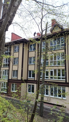 Купить квартиру в Светлогорске. Вариант № 6725885, 45, площадь -  квм, цена 13200000 рублей