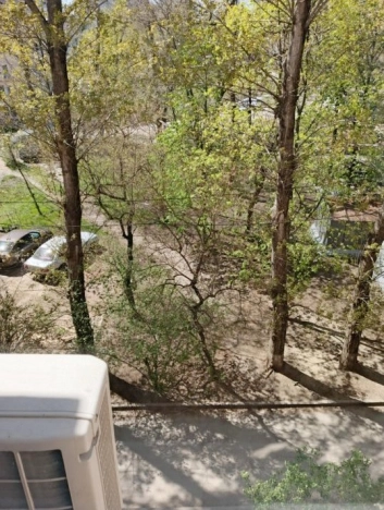 Купить трехкомнатную квартиру в Ростовской области. Вариант № 6239266, 16, площадь -  квм, цена 5500000 рублей