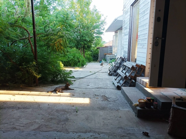 Купить дом в районе Дзержинский в Волгограде. Вариант № 8637, 28, площадь -  квм, цена 6500000 рублей