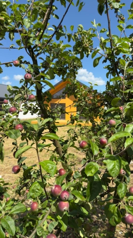 Купить дом в Зеленоградске. Вариант № 56468, 13, площадь -  квм, цена 9590000 рублей