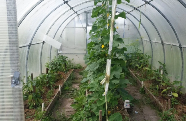 Купить дом в районе Калининский в Новосибирске. Вариант № 57828, 5, площадь -  квм, цена 2100000 рублей