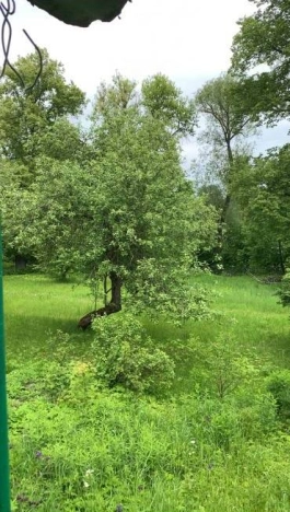 Купить дом на улице Зелёная в Брянской области. Вариант № 597, 12, площадь -  квм, цена 4800000 рублей