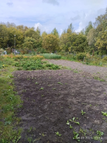Купить земельный участок в Тобольске. Вариант № 3757864, 0, площадь -  квм, цена 500000 рублей