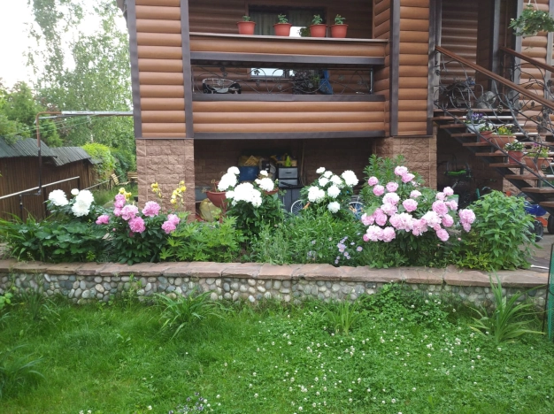 Купить дом в Тульской области. Вариант № 10134780, 6, площадь -  квм, цена 17000000 рублей