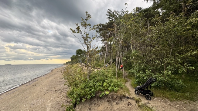 Купить земельный участок в Калининграде. Вариант № 290951, 15, площадь -  квм, цена 4300000 рублей