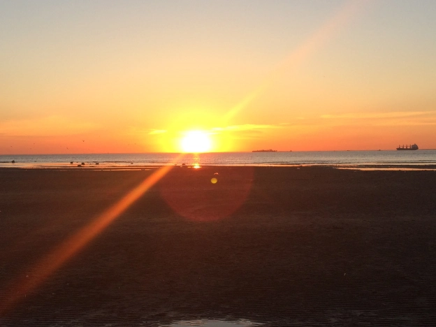 Купить трехкомнатную квартиру в Санкт-Петербурге. Вариант № 9174455, 35, площадь -  квм, цена 15400000 рублей